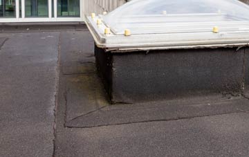 disadvantages of South Hill flat roofs