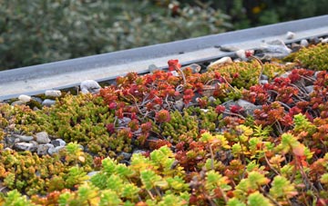 the cost of South Hill green roof installation
