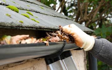gutter cleaning South Hill