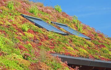South Hill living roof systems
